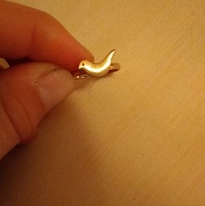 Small bird ring